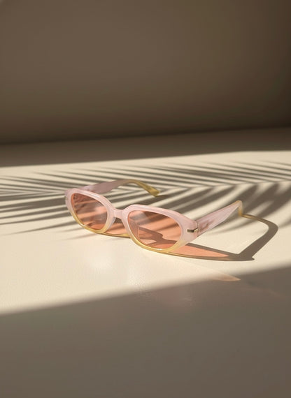Pina Colada Sunglasses with smoky lenses resting on a sunlit surface with palm shadows — VA RA 